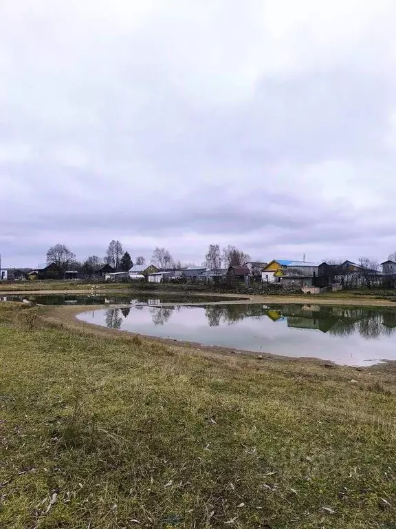 Участок в Чувашия, Цивильск Цивильский район, ул. Калинина (12.0 сот.) - Фото 1