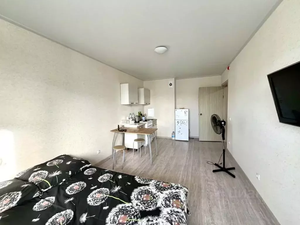 Студия Краснодарский край, Анапа ул. Ленина, 243 (25.0 м) - Фото 1