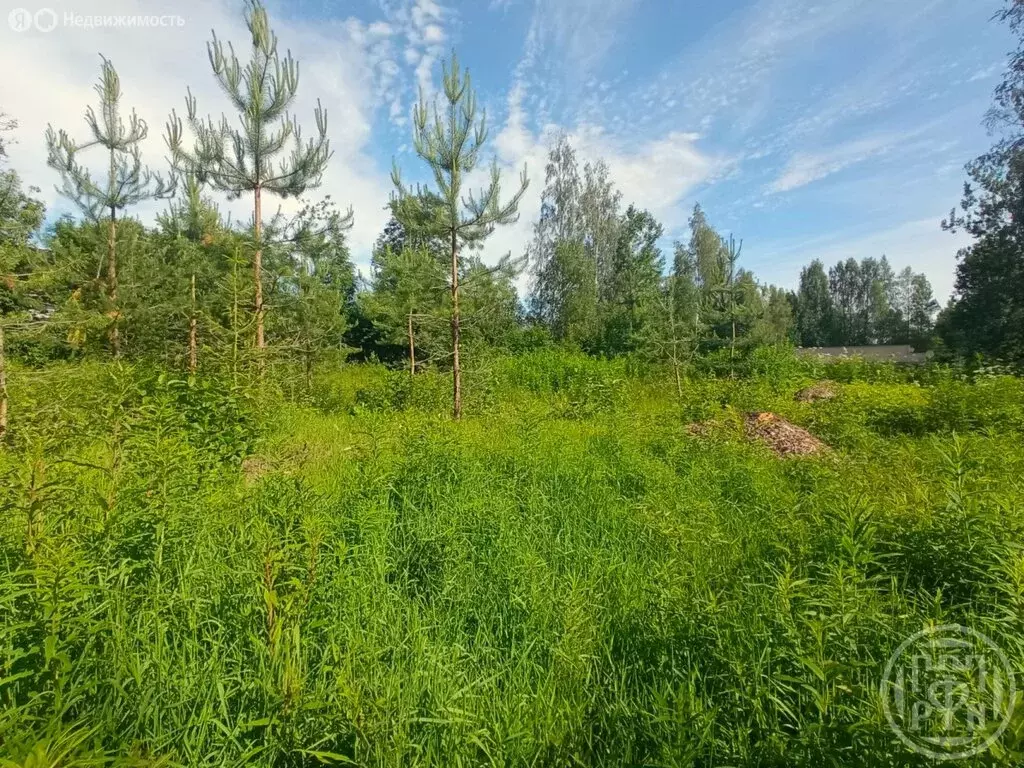 Участок в Решетниково, 1-я Садовая улица (7.1 м) - Фото 0