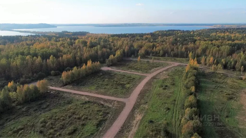 Участок в Ленинградская область, Всеволожский район, Лесколовское ... - Фото 1