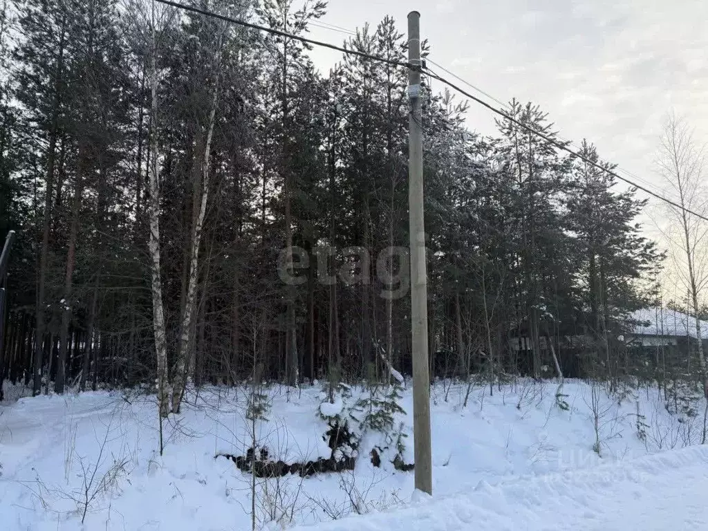 Участок в Ленинградская область, Всеволожский район, Сертоловское ... - Фото 2
