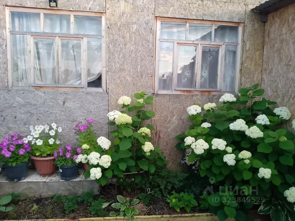 Дом в Башкортостан, Иглинский район, с. Акбердино  (80 м) - Фото 1