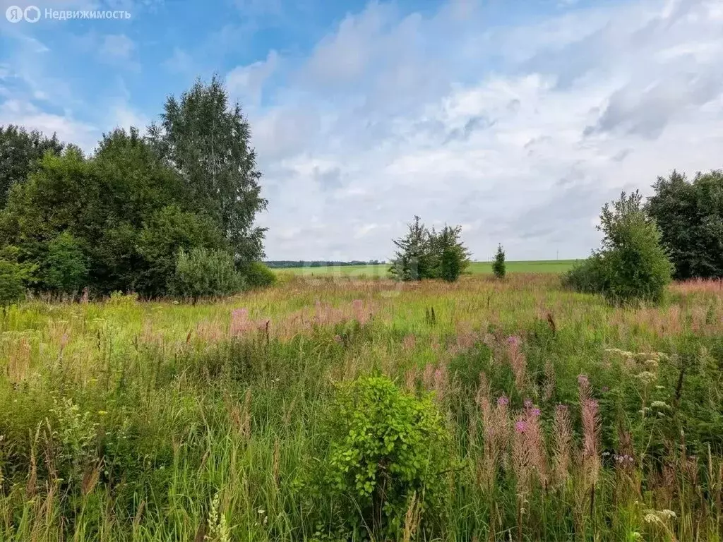 Участок в село Карпово, Заозёрная улица (15 м) - Фото 2