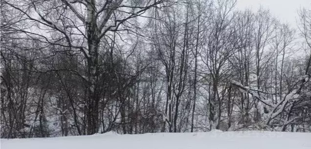 Участок в Тульская область, Тула городской округ, Плеханово рп, ... - Фото 1