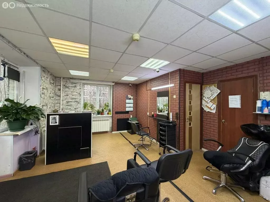 Помещение свободного назначения (31.3 м) - Фото 2