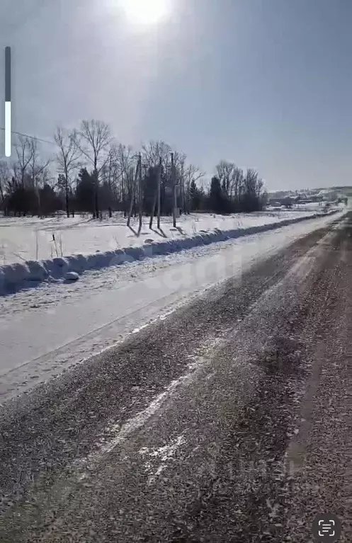Участок в Алтайский край, Советский район, с. Шульгин Лог  (15.0 сот.) - Фото 1
