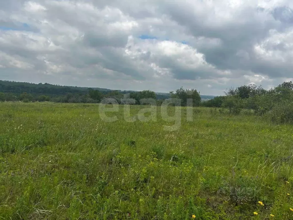 Участок в Белгородская область, Белгородский район, Бессоновское ... - Фото 1