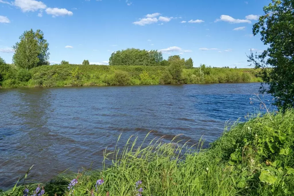 Участок в Пермский край, д. Комарово ул. Дачная (12.4 сот.) - Фото 1