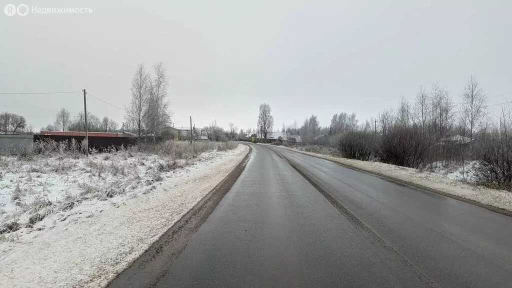 Участок в Ракомское сельское поселение, деревня Радбелик (14 м) - Фото 2