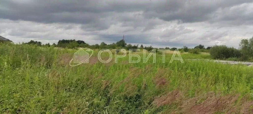 Участок в Тюменская область, Тюменский муниципальный округ, д. ... - Фото 1