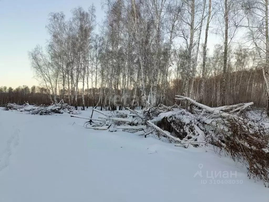 Участок в Челябинская область, Сосновский район, с. Кременкуль  (13.2 ... - Фото 0