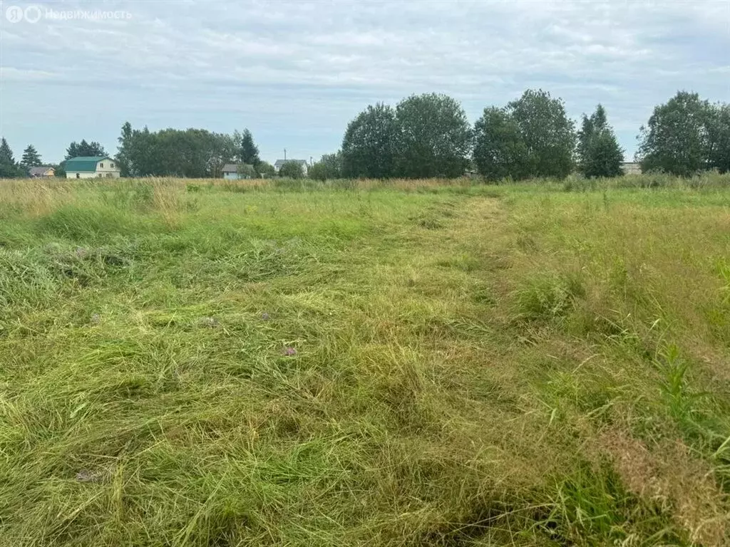 Участок в Ленинградская область, Гатчинский муниципальный округ, село ... - Фото 0