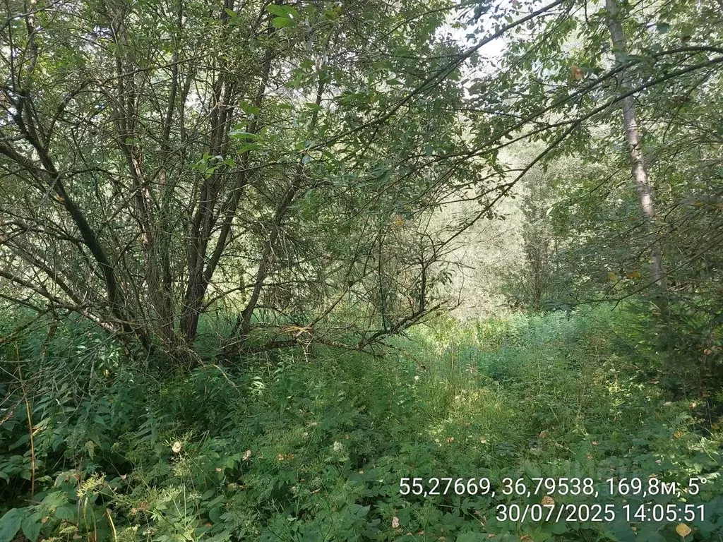 Участок в Московская область, Наро-Фоминский городской округ, д. ... - Фото 1