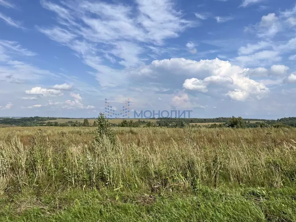 Участок в Нижегородская область, Сокольский муниципальный округ, д. ... - Фото 1