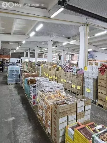 Торговая площадь (950 м) - Фото 1