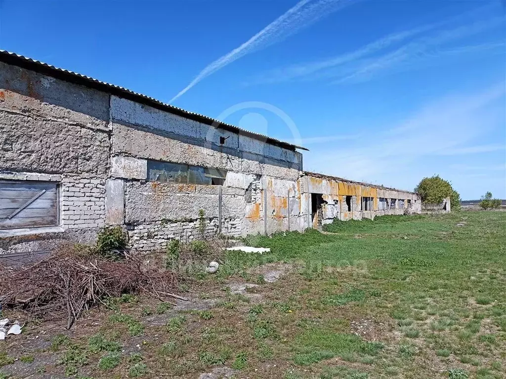 Помещение свободного назначения в Рязанская область, Скопинский ... - Фото 2