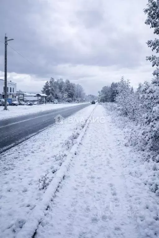 Участок в Нижегородская область, Богородский муниципальный округ, с. ... - Фото 2