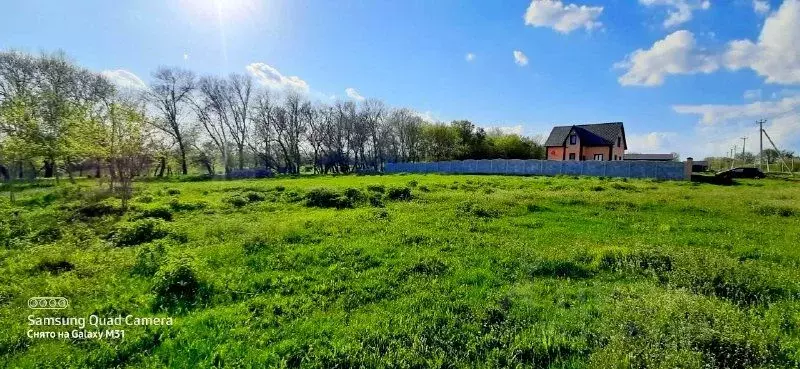 Участок в Белгородская область, Яковлевский городской округ, с. Шопино ... - Фото 1