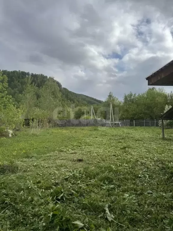 Участок в Алтай, Майминский район, Соузгинское с/пос, пос. Черемшанка ... - Фото 1