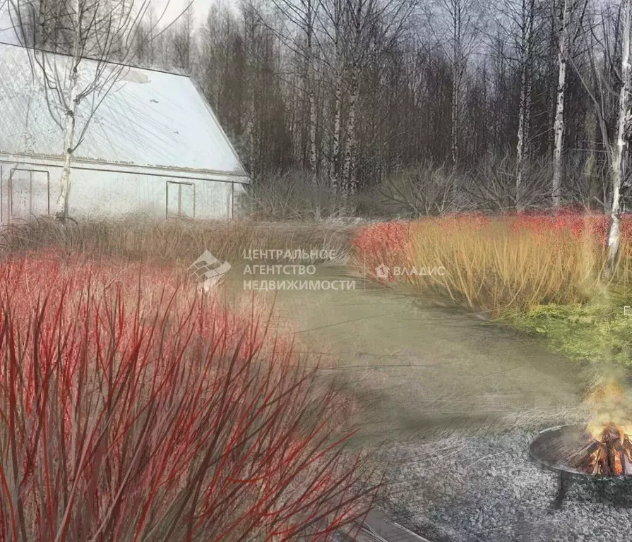 Участок в Рязанская область, Рязанский район, Мурминское с/пос, Мещера ... - Фото 1