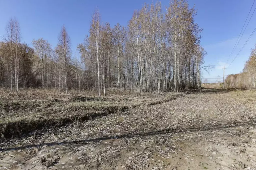 Участок в Тюменская область, Нижнетавдинский район, пос. Торгили  (9.4 ... - Фото 1