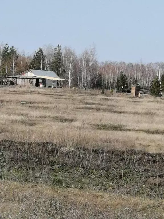 Участок в Курганская область, Кетовский муниципальный округ, с. ... - Фото 1