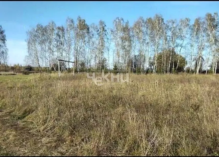 Участок в Нижегородская область, Дальнеконстантиновский муниципальный ... - Фото 1