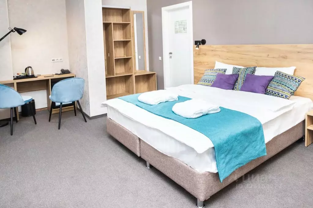 Комната Москва Большая Садовая ул., 2/46С1 (25.0 м) - Фото 2