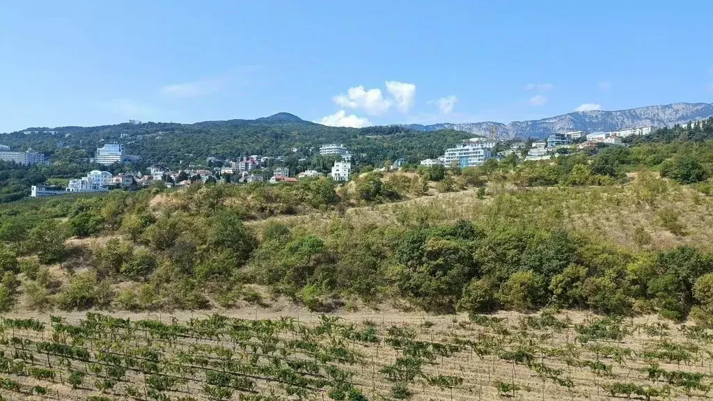 1-к кв. Крым, Ялта муниципальный округ, Ливадия пгт ул. Виноградная, ... - Фото 1