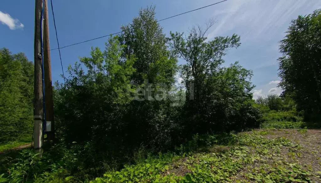 Участок в Томская область, Томск пос. Апрель, ул. Есенина (13.0 сот.) - Фото 2