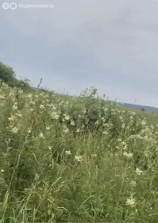 Участок в Томский район, село Яр, микрорайон Озеро Долгое (1100 м) - Фото 1