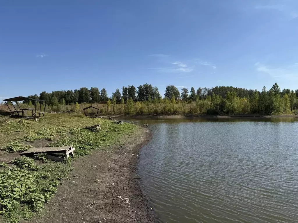 Участок в Липецкая область, Липецкий муниципальный округ, с. Частая ... - Фото 2