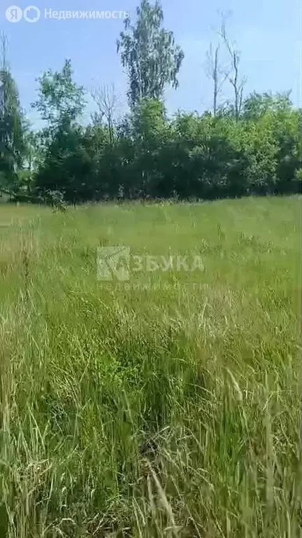 Участок в село Новая Усмань, Дорожная улица, 1 (10 м) - Фото 0