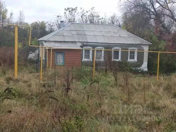 Дом в Воронежская область, с. Каширское ул. 3-го Интернационала, 6 (59 ... - Фото 0