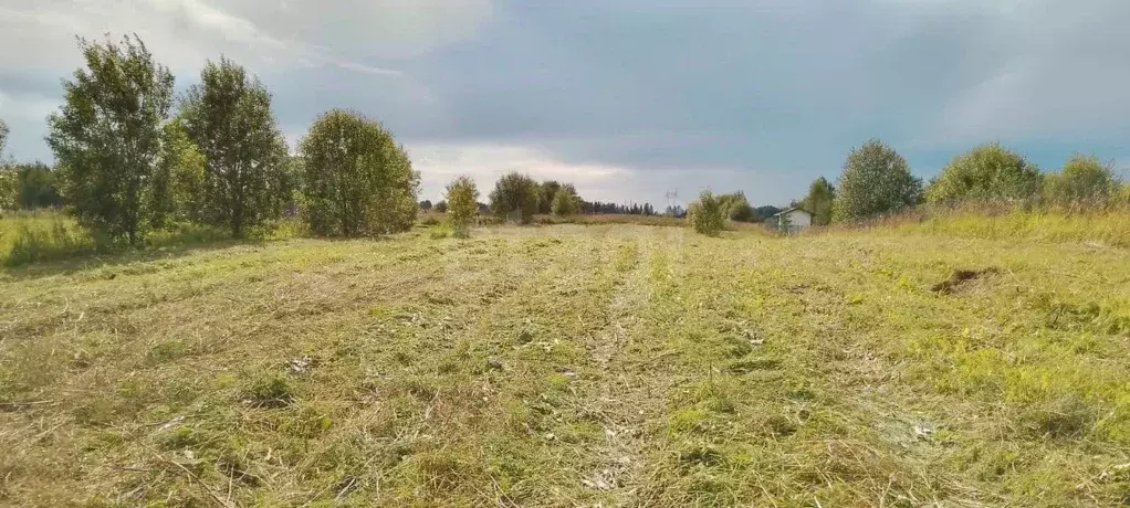 Участок в Ленинградская область, Волосовский район, Клопицкое с/пос, ... - Фото 1