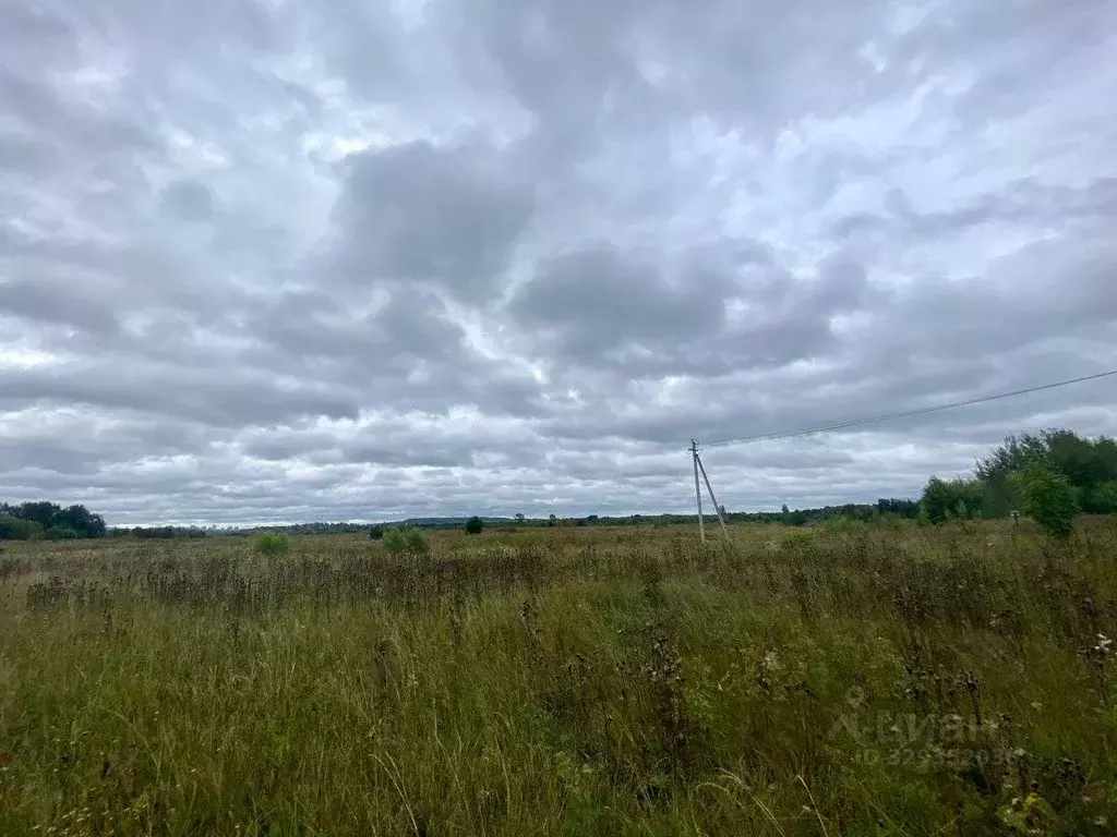 Участок в Кировская область, Слободской муниципальный район, ... - Фото 1