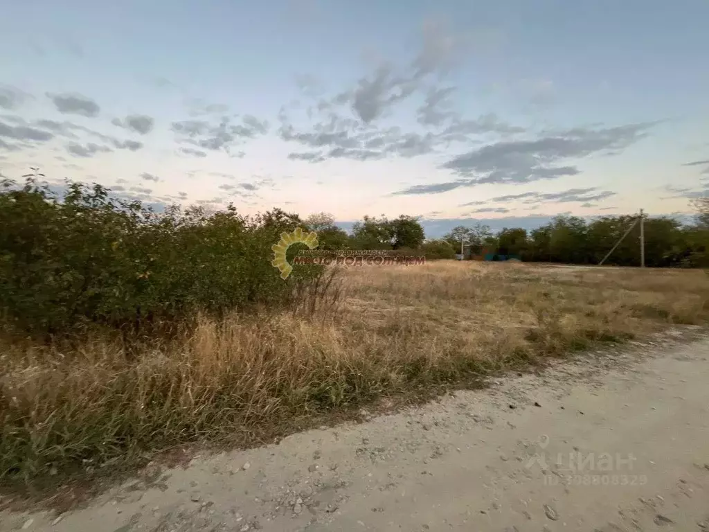 Участок в Краснодарский край, Щербиновский район, Новощербиновская ... - Фото 0