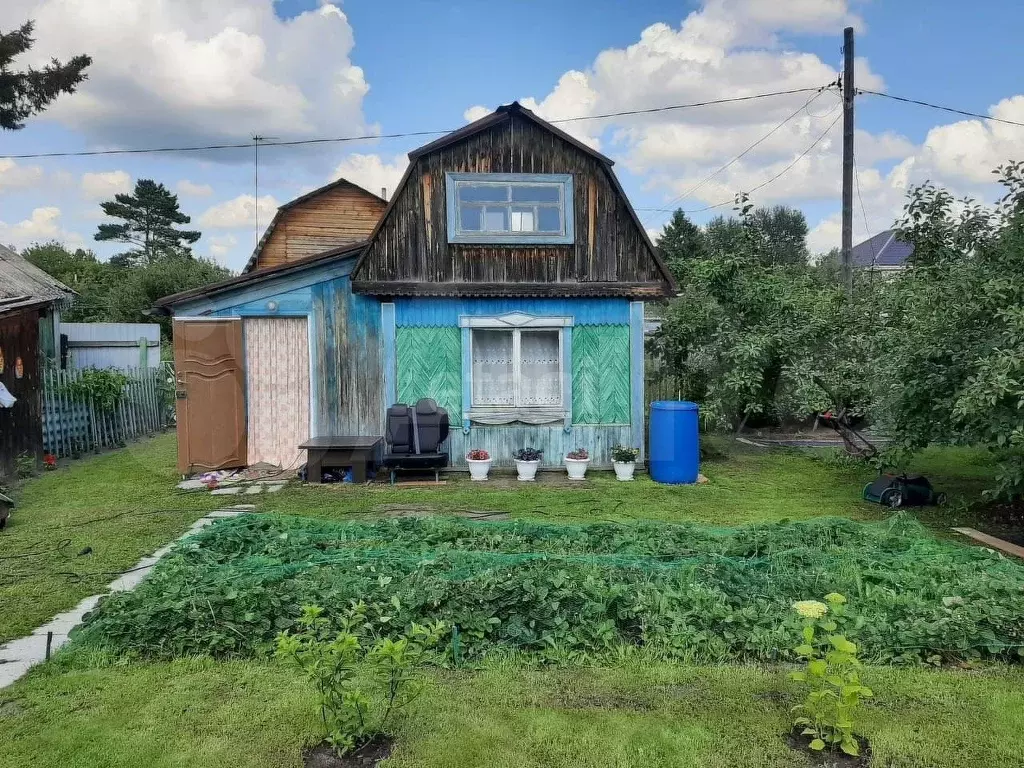 Снт целинное. Дачи в тюменской районе. Дачи в тюменской районе. Камышовка деревня в ленинградской. Снт рассвет улица малиновая, 3.