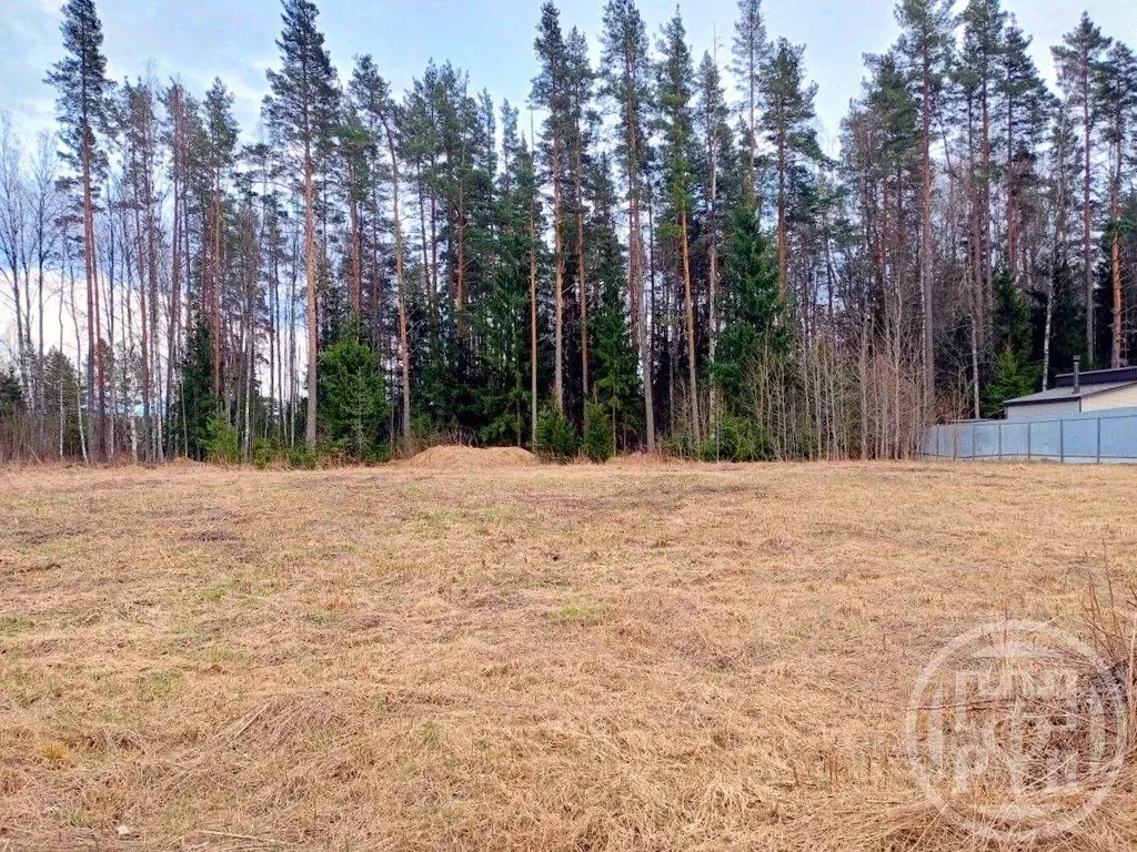 Участок, 15 сот., поселения (ижс) - Фото 1