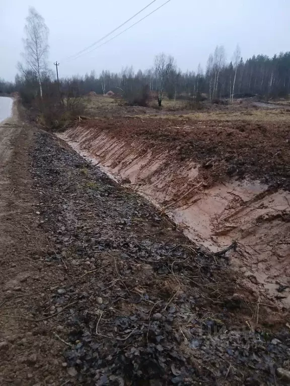 Участок в Новгородская область, Новгородский район, Савинское с/пос, ... - Фото 2