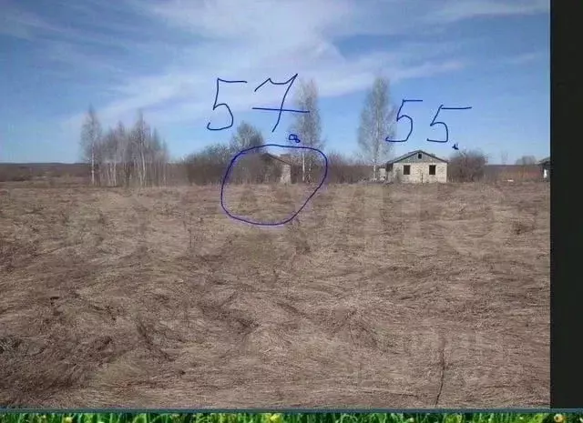 Участок в Ивановская область, Комсомольский район, Писцовское с/пос, ... - Фото 2