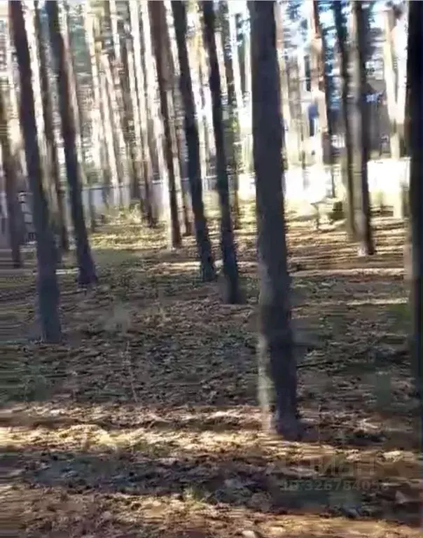 Участок в Воронежская область, с. Новая Усмань ул. Павлодарская, 6 ... - Фото 2