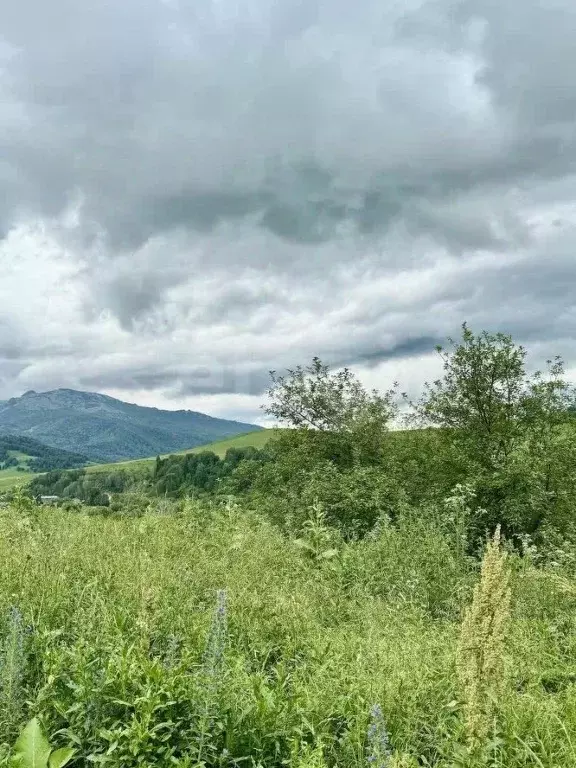 Участок в Алтайский край, Солонешенский район, с. Искра ул. ... - Фото 1