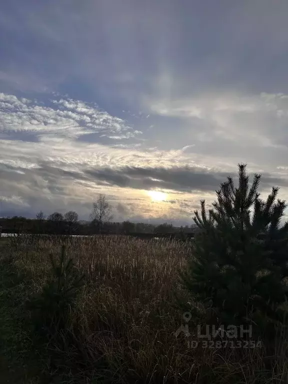Участок в Тверская область, Калининский муниципальный округ, д. ... - Фото 2