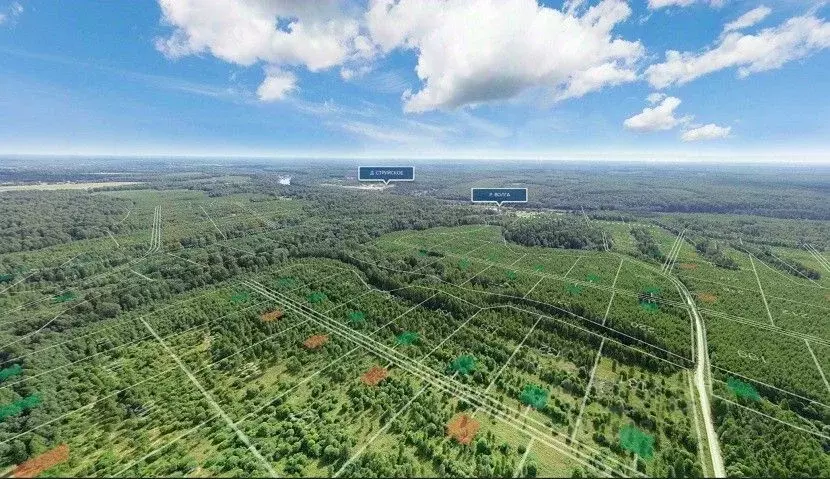 Участок в Тверская область, Ржевский муниципальный округ, д. ... - Фото 1