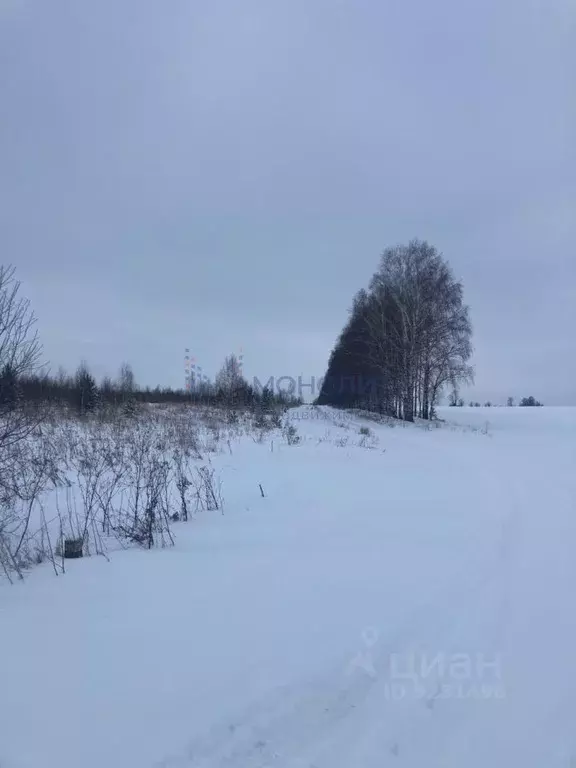 Участок в Нижегородская область, Сосновский муниципальный округ, д. ... - Фото 1