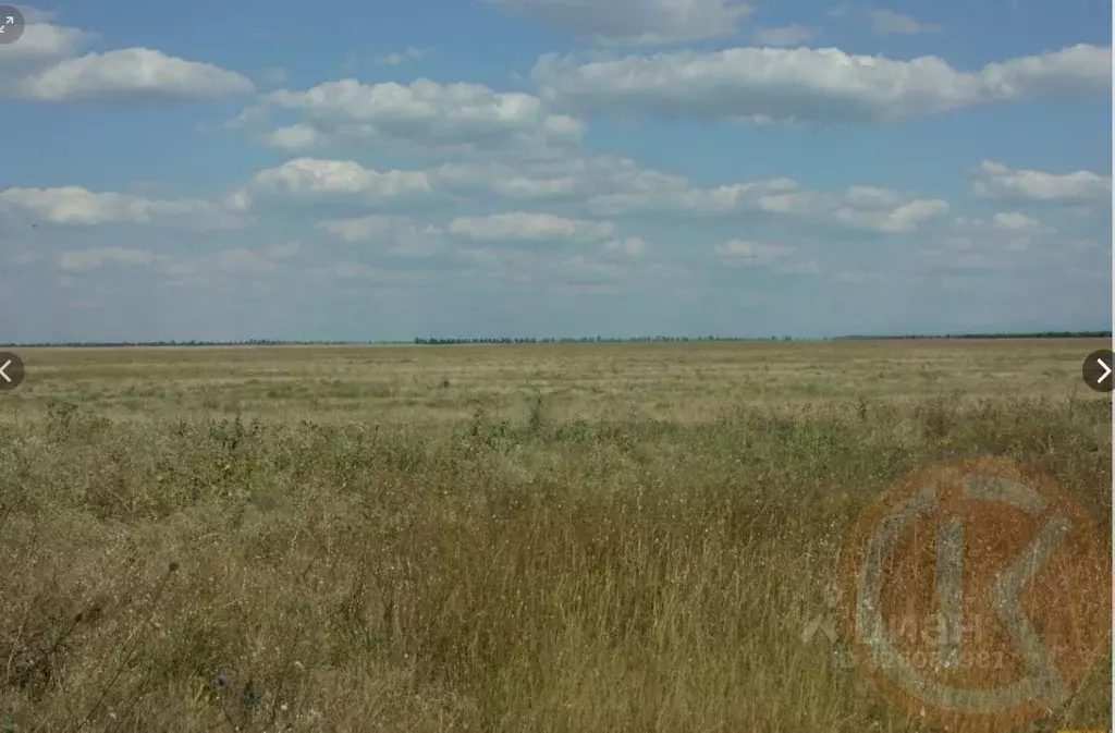Участок в Крым, Черноморский район, с. Далекое  (1750.0 сот.) - Фото 1