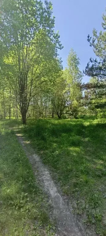 Участок в Нижегородская область, Семеновский муниципальный округ, д. ... - Фото 0