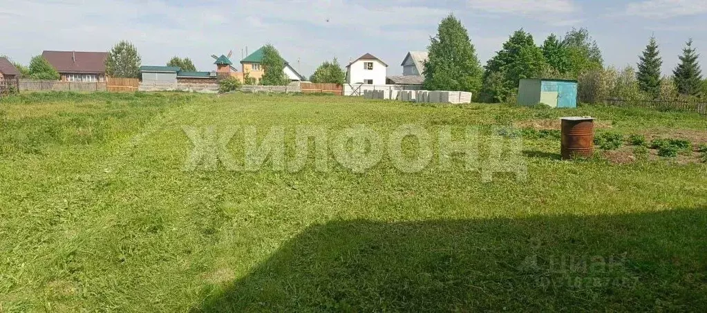 Участок в Новосибирская область, Колывань рп ул. Заводская, 50 (13.0 ... - Фото 0