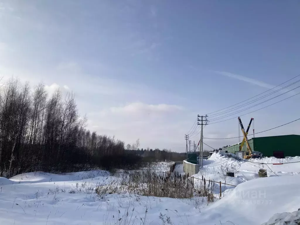 Участок в Московская область, Клин городской округ, д. Новощапово  ... - Фото 2